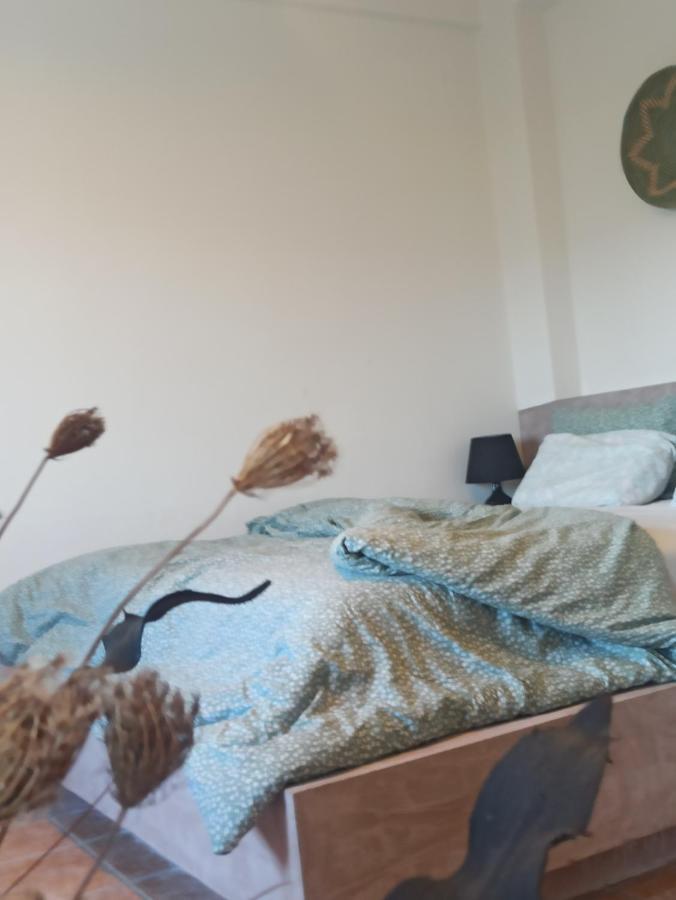 Knots Apartments Agios Nikolaos  외부 사진